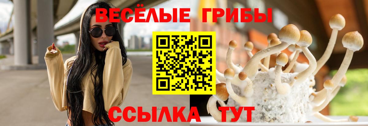 Унеча  где найти   Вход с VPN  Псилоцибиновые грибы мухоморы  Псилоцибиновые грибы мицелий 